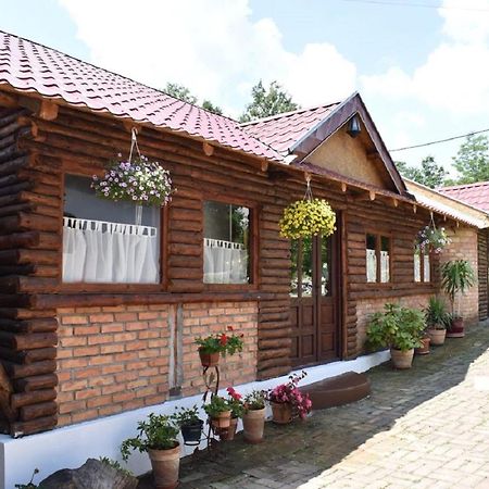 Bed and Breakfast Panorama Lomnica Despotovac Exterior foto