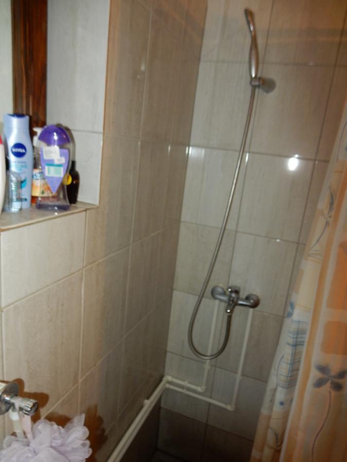 Bed and Breakfast Panorama Lomnica Despotovac Exterior foto