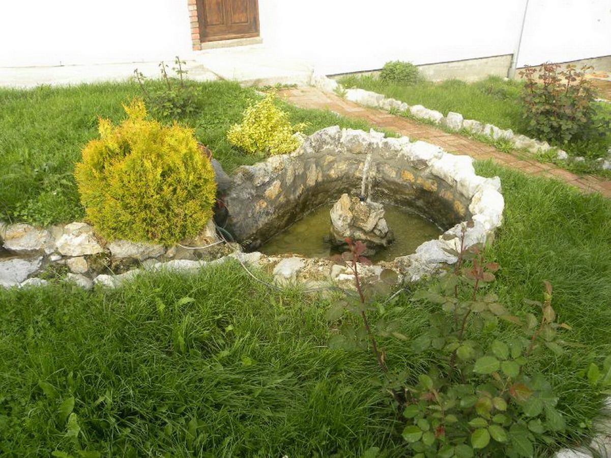 Bed and Breakfast Panorama Lomnica Despotovac Exterior foto