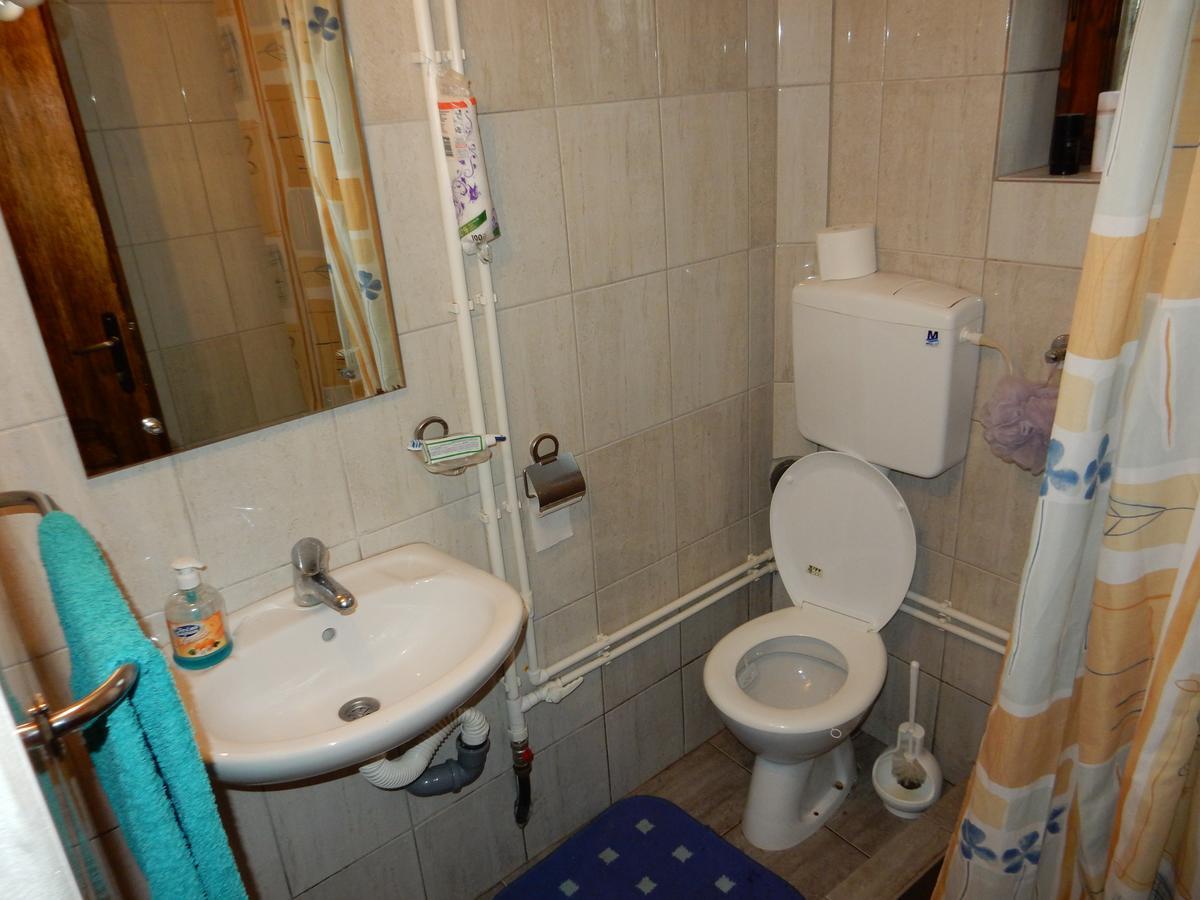 Bed and Breakfast Panorama Lomnica Despotovac Exterior foto